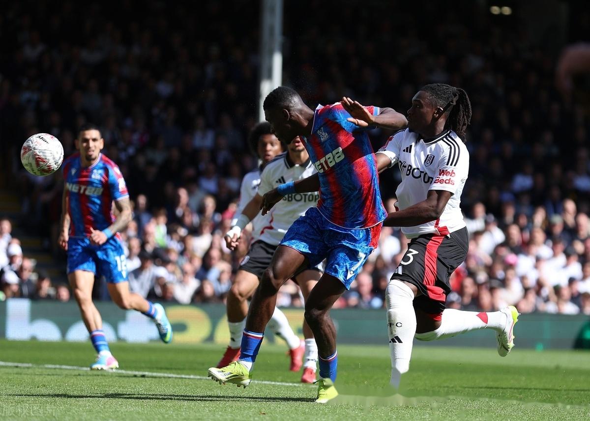 南安普顿逆转水晶宫，取得保级关键胜利(南安普顿与水晶宫)